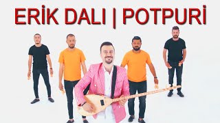 ERTAN ERŞAN  Erik Dalı  POTPURİ Official Video [upl. by Nede]