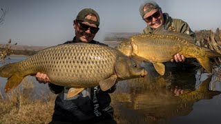 Big carp fishing at Buffelspoort dam  Carp fishing South Africa 2020 [upl. by Sirromal605]