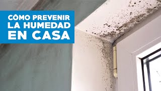 Cómo prevenir la humedad en casa [upl. by Ynnad]