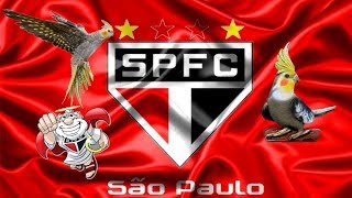 ASSOBIO CALOPSITA  HINO DO SÃO PAULO [upl. by Jenness]