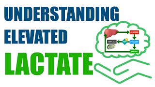 Understanding Elevated Lactate [upl. by Barbuto316]