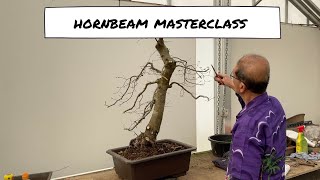 Hornbeam Masterclass [upl. by Alister723]