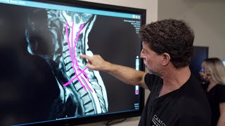 Spinal Pathways 1  Spinal Cord Anatomy and Organisation [upl. by Avilys]