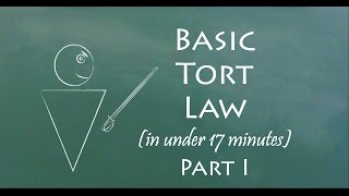 Understand Tort Law in 17 Minutes Part I [upl. by Erodeht]