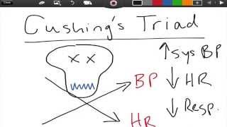 Cushings disease in dogs [upl. by Ralf]