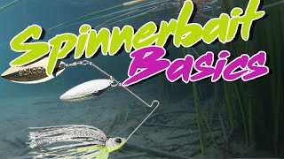 Bass Fishing Basics How To Fish A Spinnerbait [upl. by Joseito933]