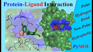 Analysing ProteinLigand Interactions  Tutorial [upl. by Suiddaht]