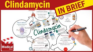 Clindamycin  Cleocin  What is Clindamycin Used For Dosage Side Effects amp Precautions [upl. by Ihp184]