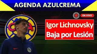 Igor Lichnovsky Baja Por Lesión 🔴 EN VIVO 🚨 [upl. by Runstadler]