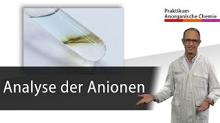 Analyse der Anionen  Praktikum Anorganische Chemie [upl. by Adnam]