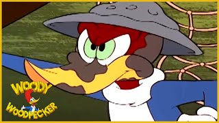 Woody Woodpecker  Corn Fed Up  Woody Woodpecker Full Episodes  Kids Movies  Videos for Kids [upl. by Eerol534]