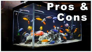 75 Gallon Aquarium Pros and Cons So Many Options [upl. by Proud]