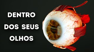 O Que Acontece Dentro Dos Seus Olhos [upl. by Eveam]