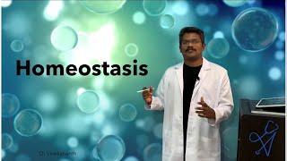 Homeostasis Physiology Lecture [upl. by Athelstan]