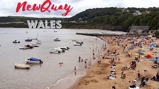 New Quay Wales New Quay Harbour Town Centre New Quay  Newquay beach [upl. by Anaicilef]