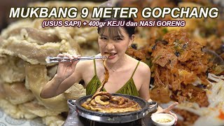 MUKBANG 9 METER GOPCHANG TERENAK DI JAKARTA PLUS KEJU 400gram PLUS NASI GORENG CHEONGDAM GARDEN [upl. by Acissaj428]