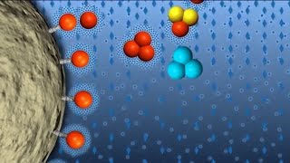 Chaperones  folding helpers in the cell [upl. by Petr]