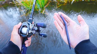 Catch 10x MORE Bass  TRY THIS Bass Fishing Tips [upl. by Amlez]