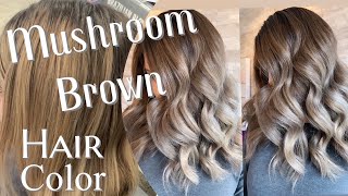 MUSHROOM BROWN HAIR TREND  Formulation For The Perfect Ashy Brown [upl. by Dream518]