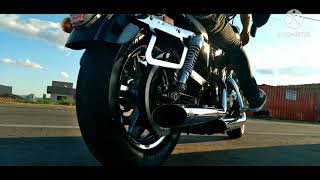 Bad to The Bone  HarleyDavidson Sportster XL 1200c [upl. by Terr100]