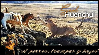 Saul Huenchul  A perros trampas y lazos [upl. by Bayly]