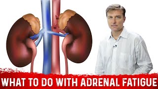 Adrenal Excess and Adrenal Deficiency – Endocrinology  Lecturio [upl. by Elinnet]