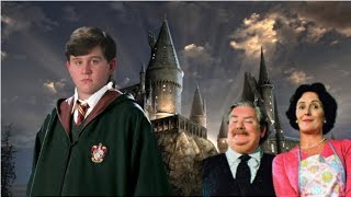 Harry Potter and the Chamber of Secrets  Dobby at the Dursleys HD [upl. by Chase891]