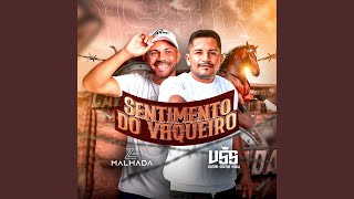 Sentimento Do Vaqueiro [upl. by Danas372]