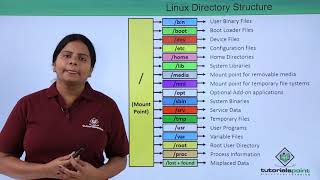 Linux Directory Structure [upl. by Ttelrats]