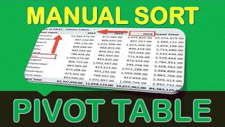 Sort an Excel Pivot Table Manually [upl. by Ahsenom140]