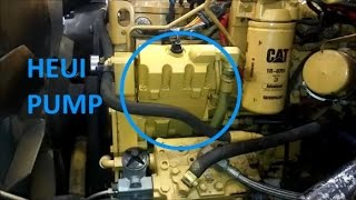 How To Change a HEUI Pump Cat C7 3126 and C9 [upl. by Adelind]