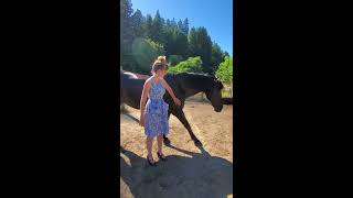 Welcome to Heart of Gold Sanctuary a Horse Rescue with Dainty Rascal Dancing [upl. by Bowyer]