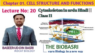 Cytoskeleton [upl. by Scheider]