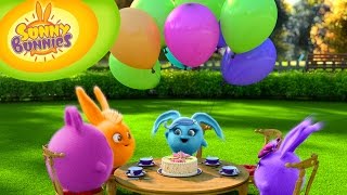 Cartoons for Children  Sunny Bunnies 110  Birthday HD  Full Episode [upl. by Nawrocki]