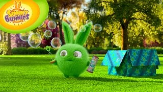 Cartoons for Children  Sunny Bunnies 118  Bubbles HD  Full Episode [upl. by Phippen769]