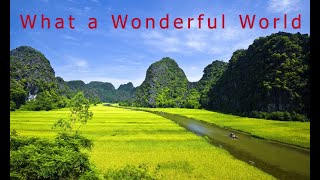 What a wonderful World  written by Bob Thiele as quotGeorge Douglasquot and George David Weiss [upl. by Manfred]