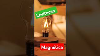 Magnetic Levitation Revealed Electronic Shots [upl. by Joashus]