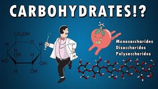 All About Carbohydrates in 6 min From a HighSchool Student  BIOLOGY  HD [upl. by Nevets385]