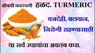 हळद औषधी वनस्पती घरगुती उपाय  AUSHADHI VANASPATI HALAD TURMERIC [upl. by Aiuqes]