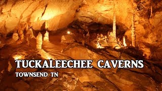 TUCKALEECHEE CAVERNS in TOWNSEND TENNESSEE [upl. by Esor]