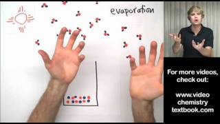 Separating Mixtures with Distillation [upl. by Aviv]