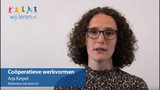 Coöperatieve werkvormen  Wijlerennl [upl. by Noreen]