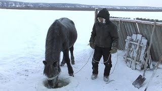 Surviving Siberia The Hard Cold Winters Of Yakutia [upl. by Glad]