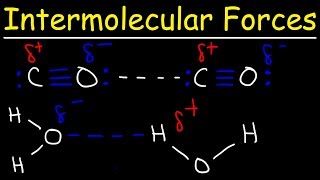 Intermolecular Forces  Hydrogen Bonding Dipole Dipole Interactions  Boiling Point amp Solubility [upl. by Anigal684]