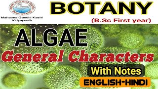 General Characteristics of AlgaeAlgae General FeaturesBSc 1st year [upl. by Pomona839]