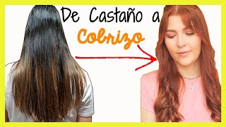 Cómo PINTAR el cabello COBRIZO💆‍♀️ SIN DECOLORAR 👩‍🦰 [upl. by Traweek99]