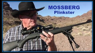 Mossberg 702 Plinkster 22 Rifle  Best 120 I Ever Spent [upl. by Yak]