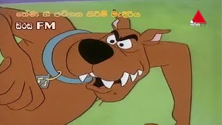 ScoobyDoo Theme Song  ස්කුබිඩූ  Sirasa TV [upl. by Erna]