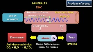 Minerales Zinc [upl. by Allicerp375]