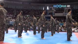 Taekwondo display by the Korean army at the 2013 Hammadang [upl. by Chaney]